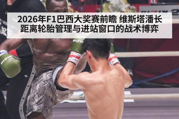 2026年F1巴西大奖赛前瞻 维斯塔潘长距离轮胎管理与进站窗口的战术博弈